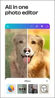 canva: design, photo & video iphone screenshot 3
