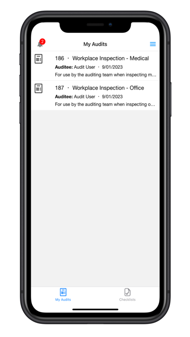 Screenshot 2 of pocketAudit App