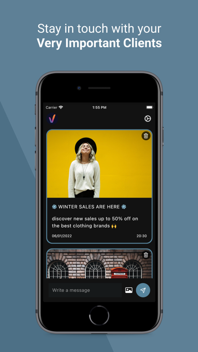 VIC Business Screenshot