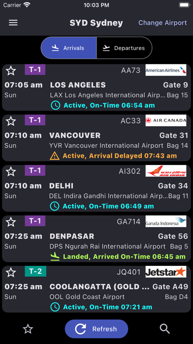 Sydney Airport Information Screenshot