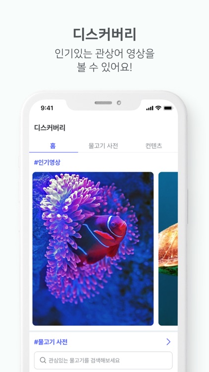 관심 - 관상어에 진심