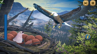 Eagle Bird Wild Life Sim Games Screenshot