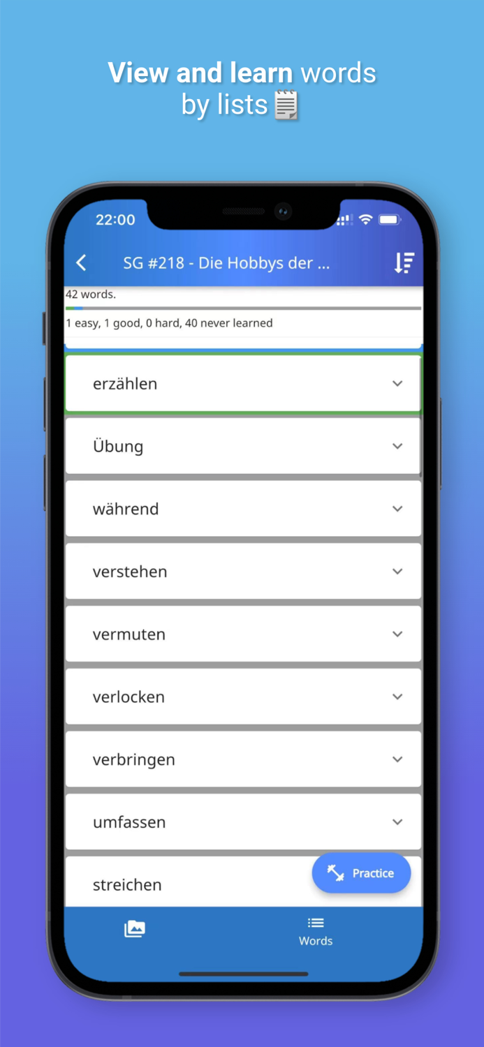 XY Memo German vocab builder
