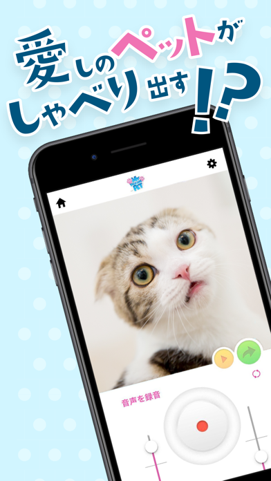 おしゃべりペット:犬や猫の面白動画メーカー・Pet写真加工のスクリーンショット - 1