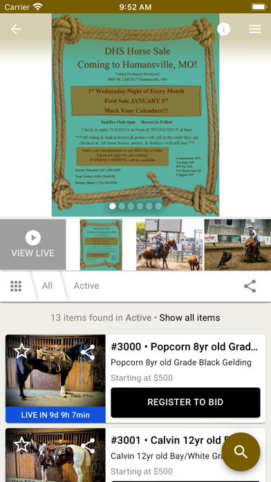 Horse Auctions USA Screenshot