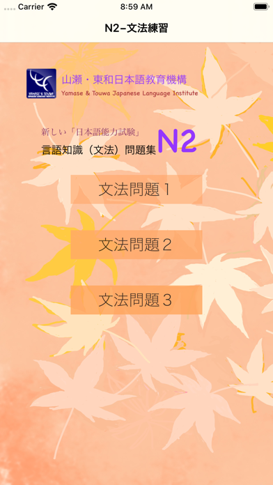 新しい「日本語能力試験」N2文法問題集のおすすめ画像1