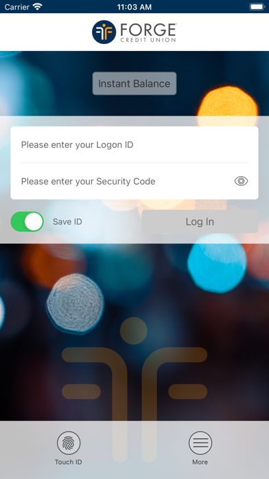 Forge Federal Credit Union Screenshot