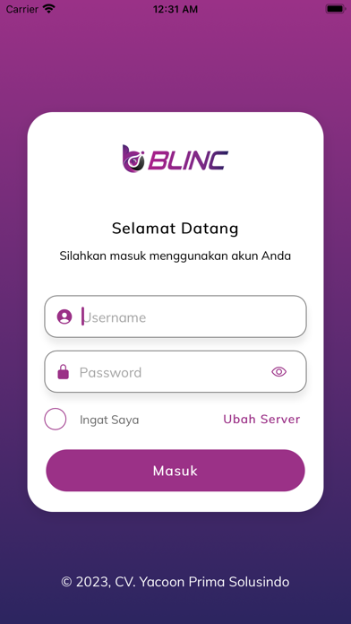 BLINC Accounting Screenshot