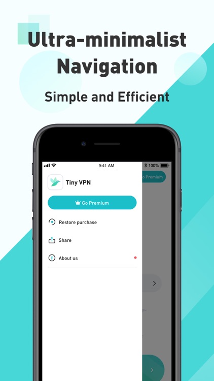 TinyVPN - Fast & Secure VPN screenshot-4