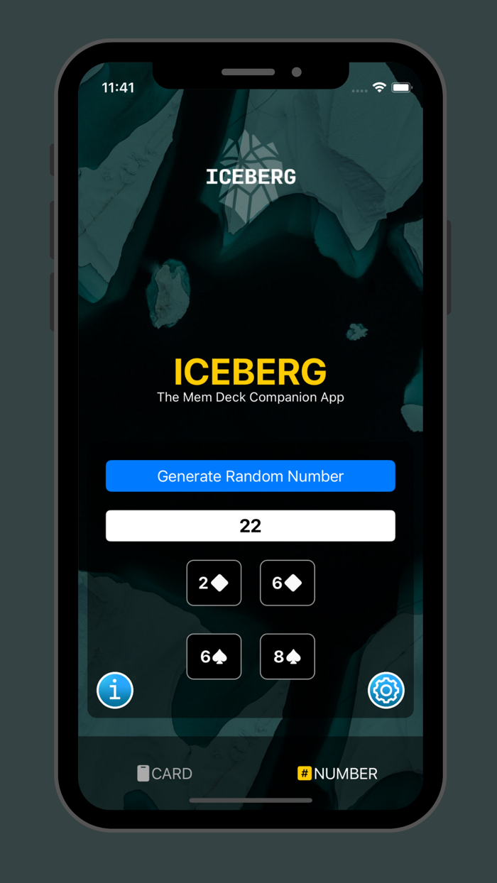 Iceberg by Shameer Salim