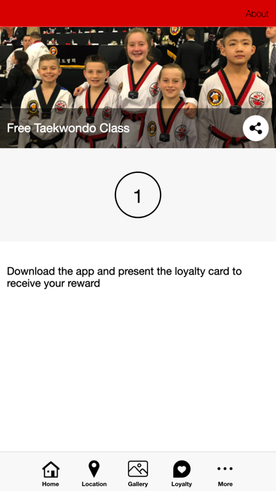 Lincoln Family Taekwondo Screenshot