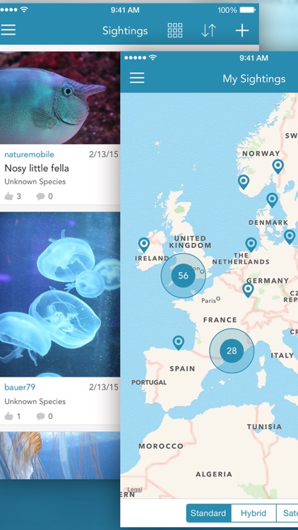 Fishes PRO - Field Guide screenshot-5