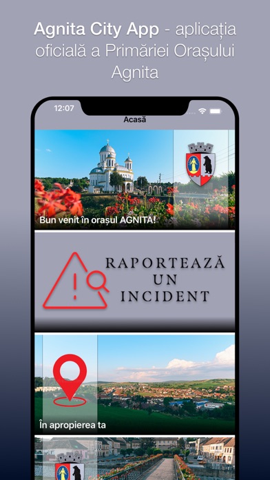 Agnita City Screenshot