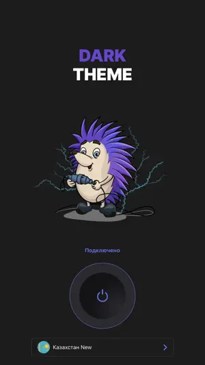 VPN Hedgehog master proxy screenshot 3