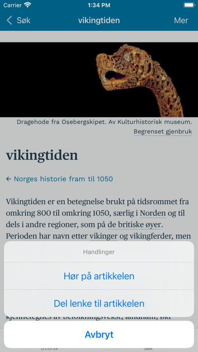 Store norske leksikon Screenshot