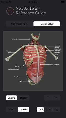 Game screenshot Anatomy Reference Guide mod apk