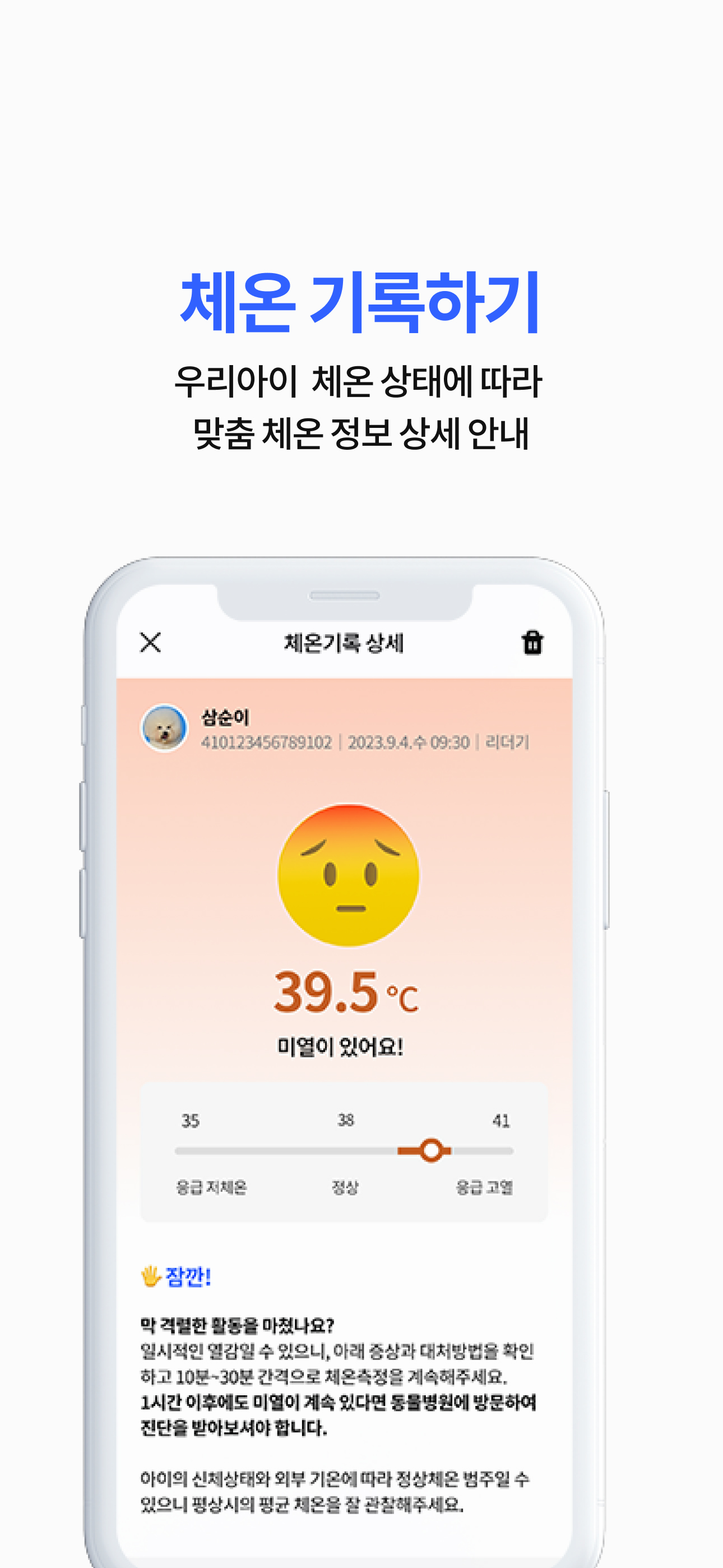 와이펫