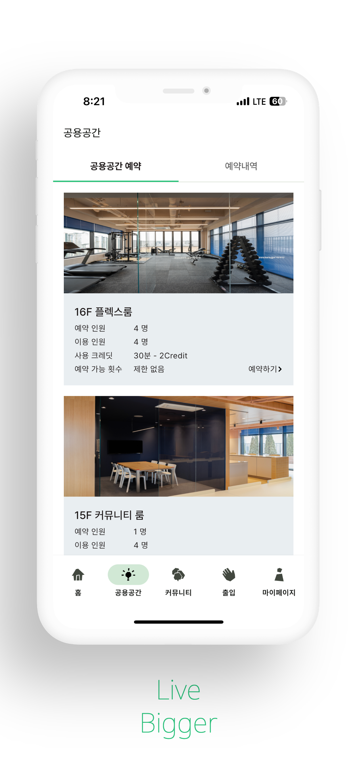 맹그로브 Mangrove