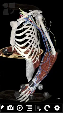 Game screenshot 3Dissect Upper Limb apk