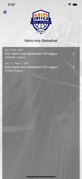Game screenshot Metro Indy Basketball mod apk