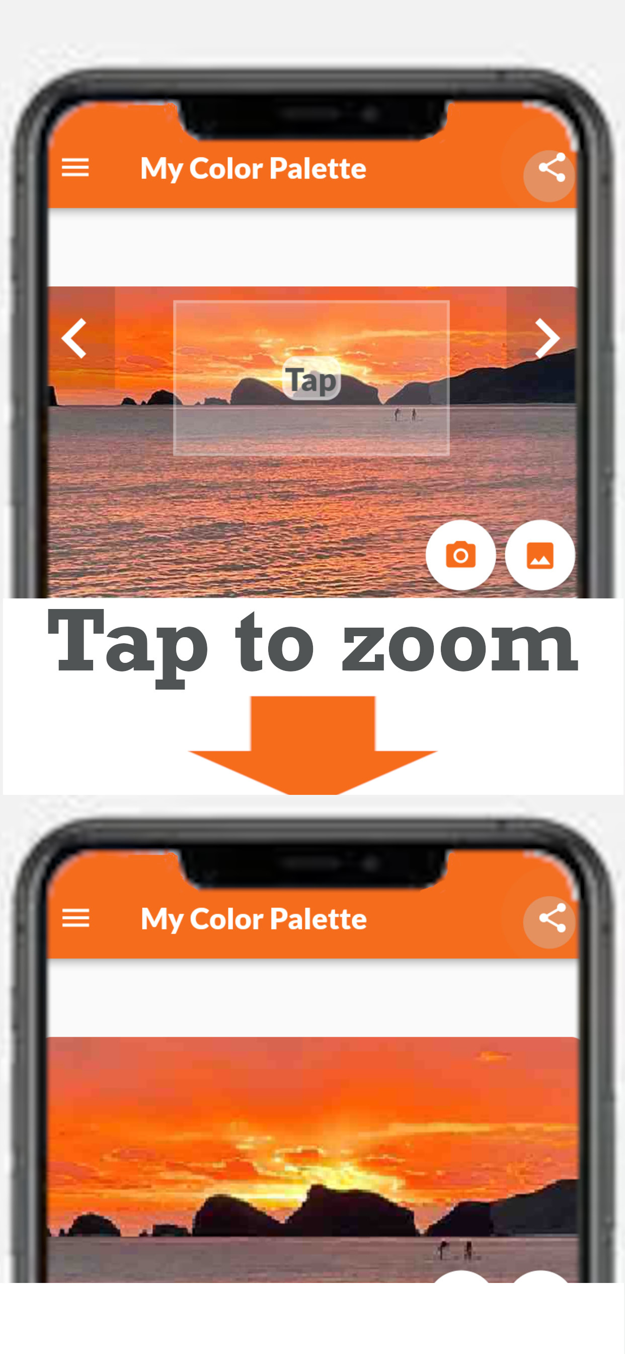 My Color Palette with Photos