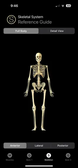 Game screenshot Human Anatomy Study Guide apk