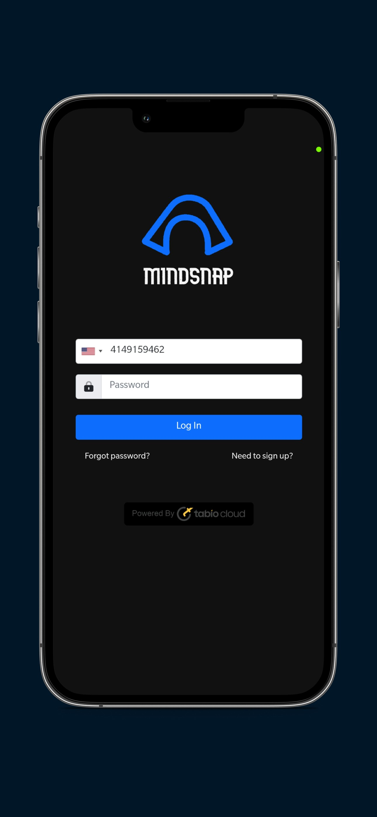 MINDSNAP.AI