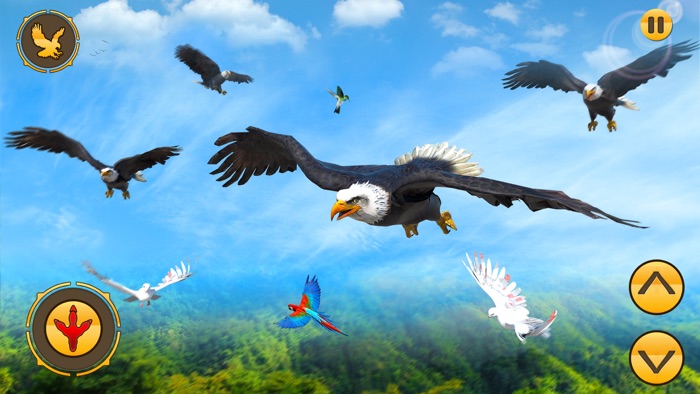Eagle Simulator 2024