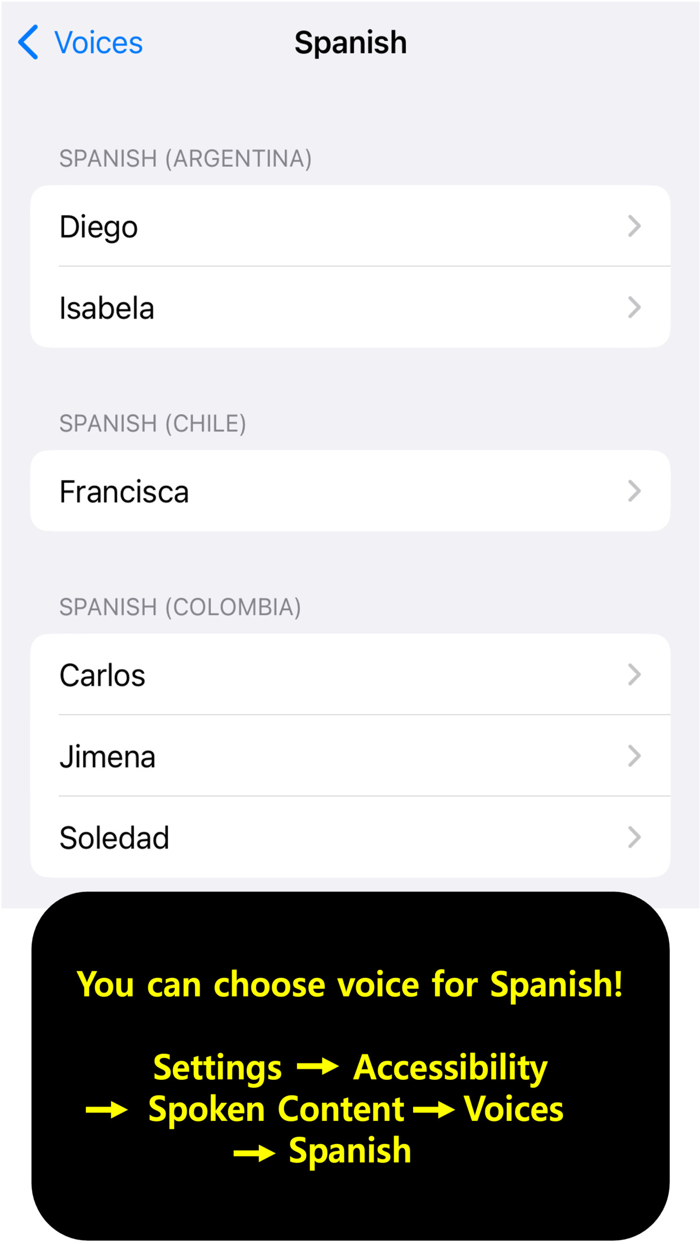 My Spanish Vocabulary