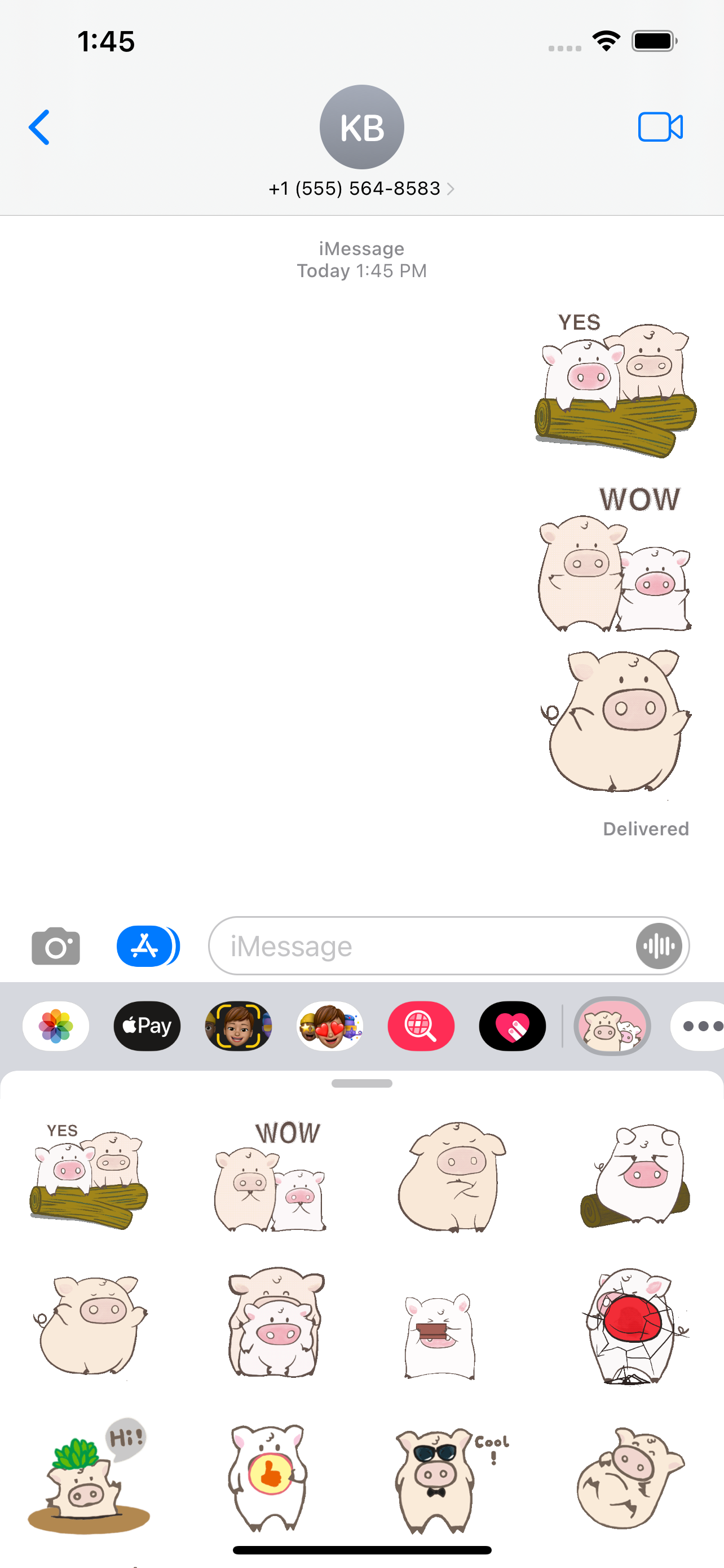 Toto Pig - Piglets Stickers