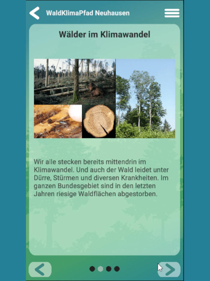 Walderlebnis Enzkreis