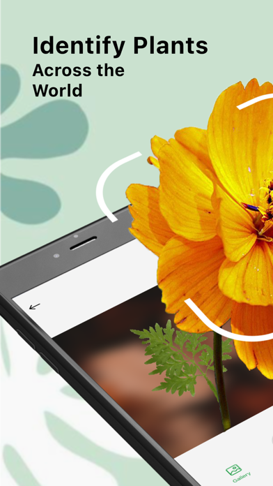 Plant Care And Identification Screenshot