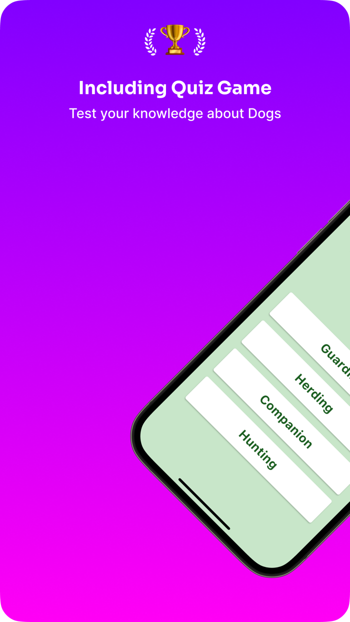 Dog Care Pro Guide Tips  Fun