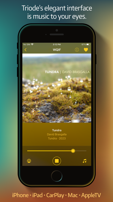 Triode - Internet Radio Screenshot