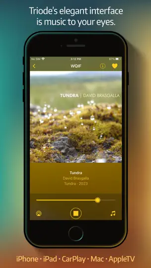 Captura de pantalla de Triode - Internet Radio en iPhone 1