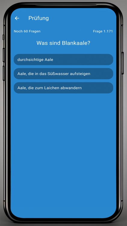 Angelschein Trainer ST