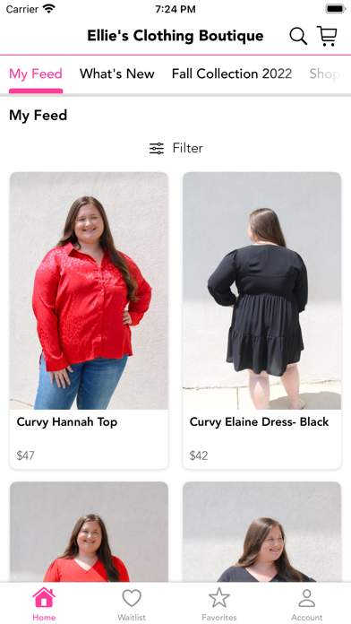 Ellie's Clothing Boutique Screenshot
