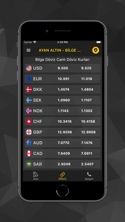 Ayan Altın - Bilge Döviz