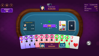 Gin Rummy: Offline Game Screenshot