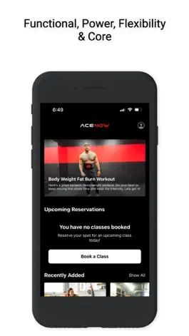 Game screenshot ACE NOW! hack