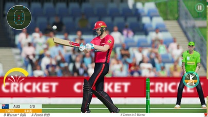 World Cricket League Champions Screenshot