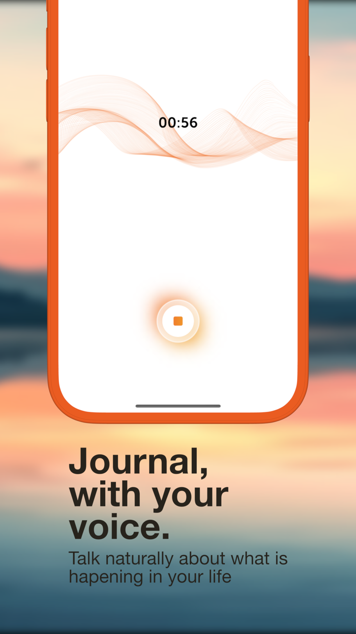 Auro Daily Journaling, Diary
