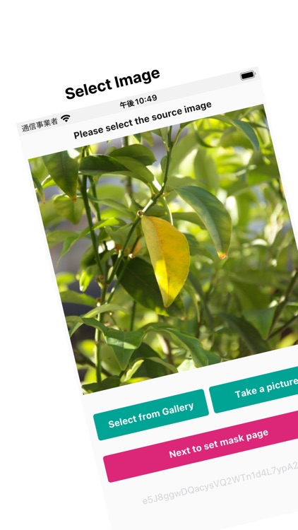 Imaginate Mask&Morph