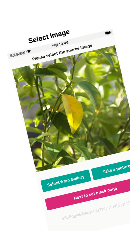 #1. Imaginate Mask&Morph (iOS) 由: Naohiro Tateishi