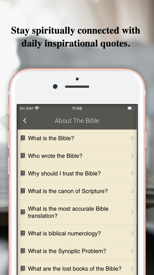 #9. NIV Bible Offline (iOS) 由: VIRGILIO MARTINEZ TERRER