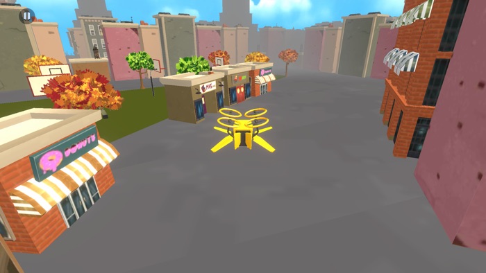 Courier Drone Simulator