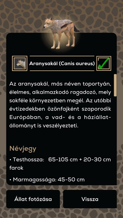 Bodajk AR Szafari Screenshot
