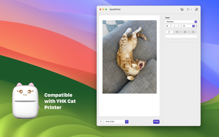 QuickPrint - Thermal Printing