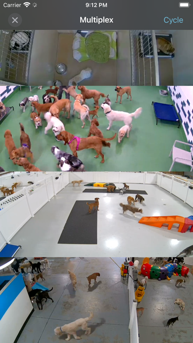 iDogCam View Screenshot