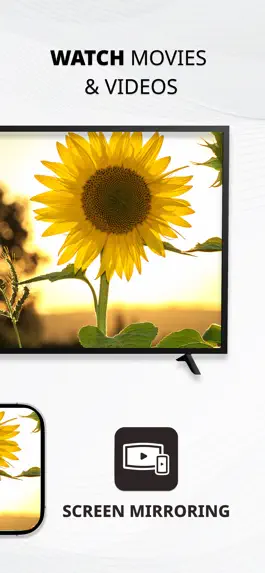 Game screenshot Отображение экрана на Smart TV apk